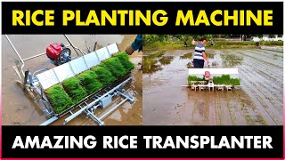 Rice Planting Machine  Paddy Transplanter Machine [upl. by Yrokcaz]