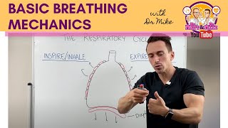 Basic Breathing Mechanics [upl. by Laws]