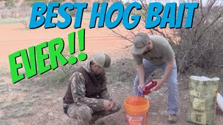 Easy DIY Hog Bait  GUARANTEED to bring in wild hogs [upl. by Fahey973]