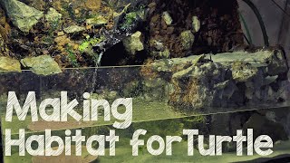 How to make AquaTerrarium for Turtle with Waterfall [upl. by Allerym]