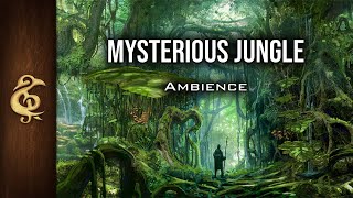 DampD Ambience  Mysterious Jungle  Immersive Realistic Animals [upl. by Gosney367]