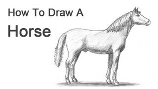 How to Draw a Horse [upl. by Norrej334]