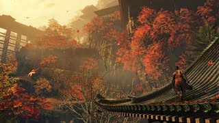 Sekiro  Exploring Senpou Temple  Stealth Kills amp Boss Fight  No HUD Gameplay [upl. by Odrick774]