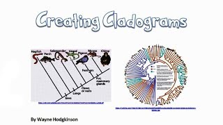 Making a Cladogram 1 [upl. by Ellennoj]