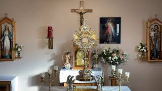 LIVE Eucharistic Adoration  Sisters of Divine Mercy [upl. by Kippar212]