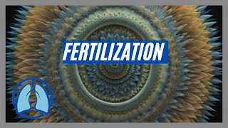 Understanding Fertilization [upl. by Ahset]