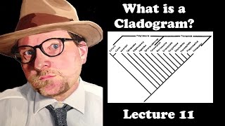 Lecture 11 What is a Cladogram [upl. by Aniretak156]