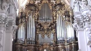 The Largest Cathedral Organ [upl. by Ailana]