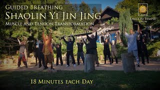 易筋經 · Yi Jin Jing with Guided Breathing · inkl Anleitung [upl. by Fawnia]