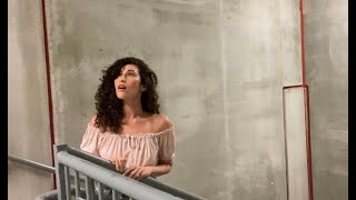 Singing quotHALLELUJAHquot in a Stairwell with EPIC acoustics [upl. by Enineg]