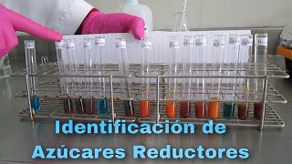 PRACTICA 5 IDENTIFICACIÓN DE AZUCARES REDUCTORES [upl. by Knowland100]