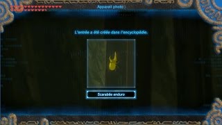 The Legend of Zelda BotW  Guide scarabées enduro [upl. by Lunnete]