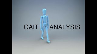 Gait Analysis and the Gait Cycle [upl. by Noired]