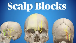 Scalp Blocks [upl. by Mehetabel729]