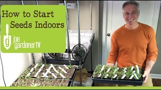 How I Start Seeds Indoors Tips amp Techniques [upl. by Ohare557]