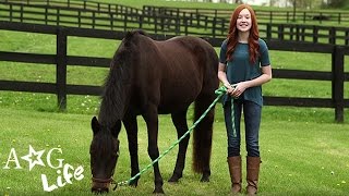 Miniature Horses Ponytail HowTo Hacks amp More  AG Life  Episode 30  AmericanGirl [upl. by Arodaeht512]