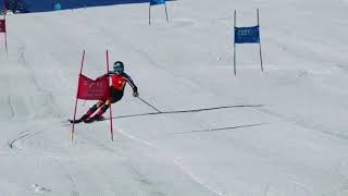 WORLD CUP SKI RACERS SLALOM TRAINING 9 [upl. by Olmsted]