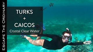 Turks and Caicos Our Best Snorkeling Experience [upl. by Gaskill737]