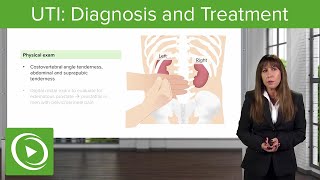 UTI Diagnosis and Treatment – Nephrology  Lecturio [upl. by Cory960]