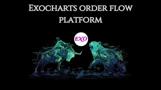 Exocharts Order Flow Platform  My Settings [upl. by Faunia551]