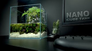 Nano Cube Tank Cliff with flowing Waterfall Aquaterrarium No filterNo co2 Paludarium [upl. by Dorin750]