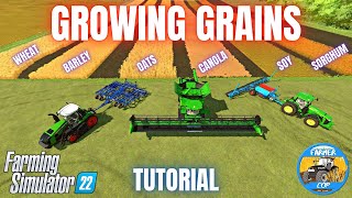 HOW TO GROW GRAINS  Farming Simulator 22 [upl. by Vasiliki]