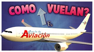 ¿Cómo hace un avión para volar [upl. by Ojeillib]