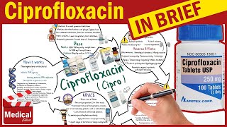 AMOXICILLIN What is Amoxicillin used for  Dosage  Side Effects  Amoxicillin 500mg Capsule [upl. by Opal157]