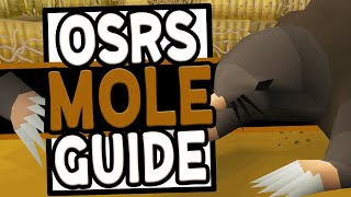 The Ultimate Giant Mole Guide in OSRS 2020 [upl. by Ahserkal]