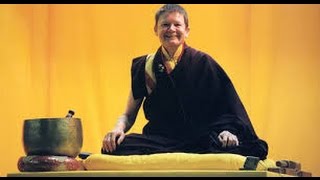 The Noble Journey From Fear to Fearlessness ♡ Pema Chödrön [upl. by Valerle]