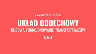 Układ oddechowy [upl. by Sirkin]