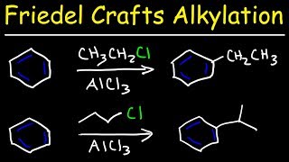 Friedel Crafts Alkylation of Benzene Reaction Mechanism  Tons of Examples [upl. by Alrich706]