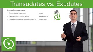 Transudates vs Exudates – Pleural Disease  Lecturio [upl. by Idalla587]