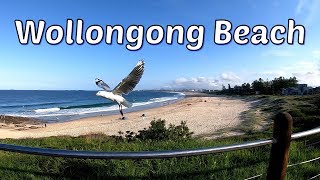 Walking Around Wollongong Beach  Beautiful Wollongong City Beach  Wollongong NSW Australia [upl. by Hgielhsa]