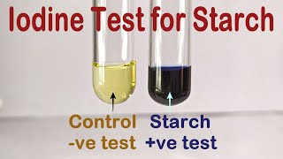 Iodine Test For Starch Practical Experiment [upl. by Henleigh532]