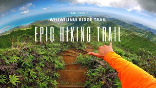 Epic Hiking Trail in Oahu Hawaii│Wiliwilinui Ridge FULL GUIDE Best Trail [upl. by Ahl]