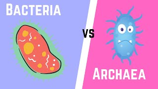 Difference between Bacteria and Archaea [upl. by Hafler]