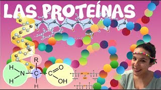 Las ProteÃ­nas  2Âº de Bachiller BioESOsfera [upl. by Ahsead712]