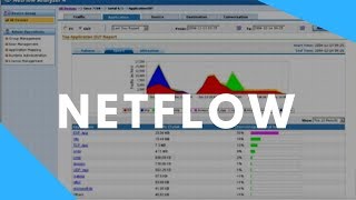 Netflow  Monitoring Your Network Traffic [upl. by Avah592]