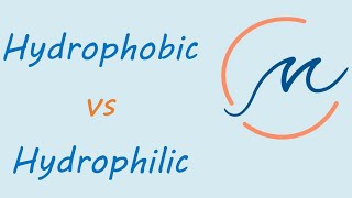 Hydrophobic vs hydrophilic molecules [upl. by Niveek]