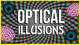 How and Why do Optical Illusions Work [upl. by Little925]