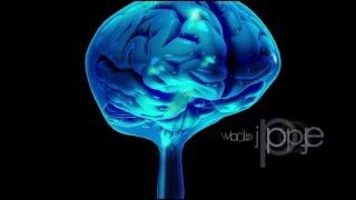 CSF Circulation  Physiology  Formation Properties Hydrocephalus CNS Physiology  Neuroanatomy [upl. by Aicatan]