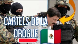 REPORTAGE CHOC  LES CARTELS DE DROGUE AU MEXIQUE [upl. by Goulden]