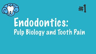 Endodontics  Pulp Biology and Tooth Pain  INBDE ADAT [upl. by Omidyar]