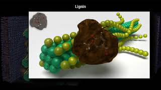 How Decomposition Works Part 1 [upl. by Laws514]