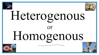 Heterogenous vs Homogenous Definitions Examples amp Practice [upl. by Gregor]