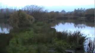 Blake Hall Fishery Pennsala [upl. by Lawford796]