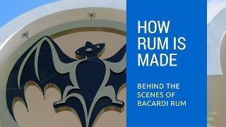 How Rum Is Made Behind The Scenes of Bacardi Rum Distillery [upl. by Meg]