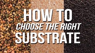 HOW TO Choose an Aquarium Substrate [upl. by Aicenaj805]