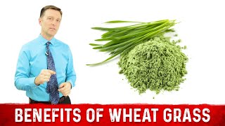 12 Scientific Health Benefits of Wheat Grass Powder by Dr Berg [upl. by Anivol833]